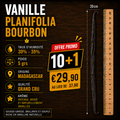 Pack 10+1 Vanille Planifolia Bourbon